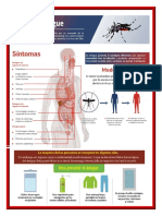 Infografia Dengue