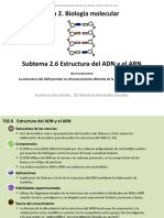 A1.2.Estructura del ADN y el ARN