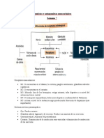 Agonistas y Antagonistas Muscarínicos