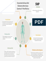 Características Del Sistema Nervioso Central Y Periférico