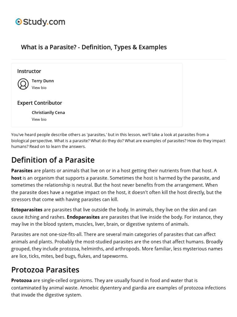 Lesson 03 What Is A Parasite Definition, Types & Examples PDF Parasitism Protozoa
