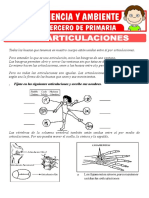 Las Articulaciones para Tercero de Primaria