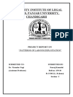 Labour Exploitation Patterns