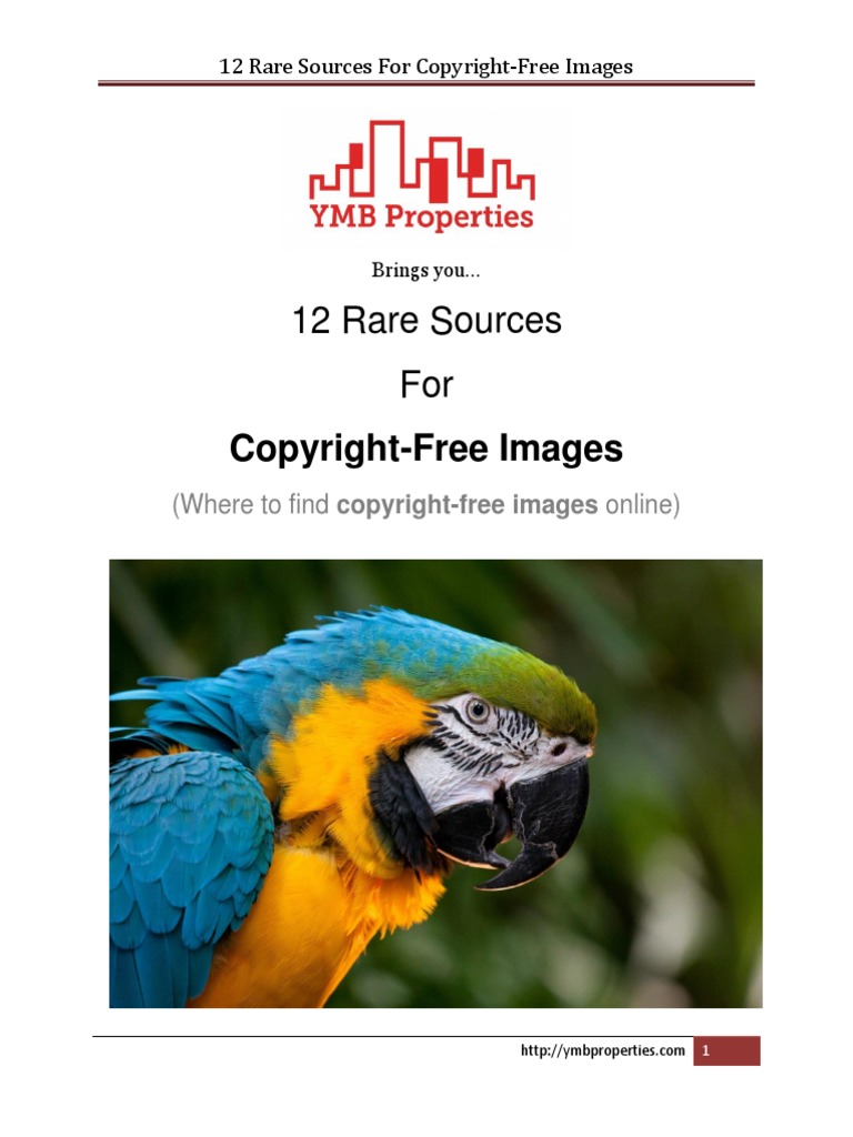 12 Rare Sources For Free Images | PDF | Photograph | Public Domain