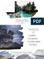 Disaster