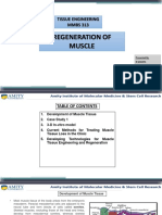 TE - Regeneration of Muscle by R Shweta and Aryan