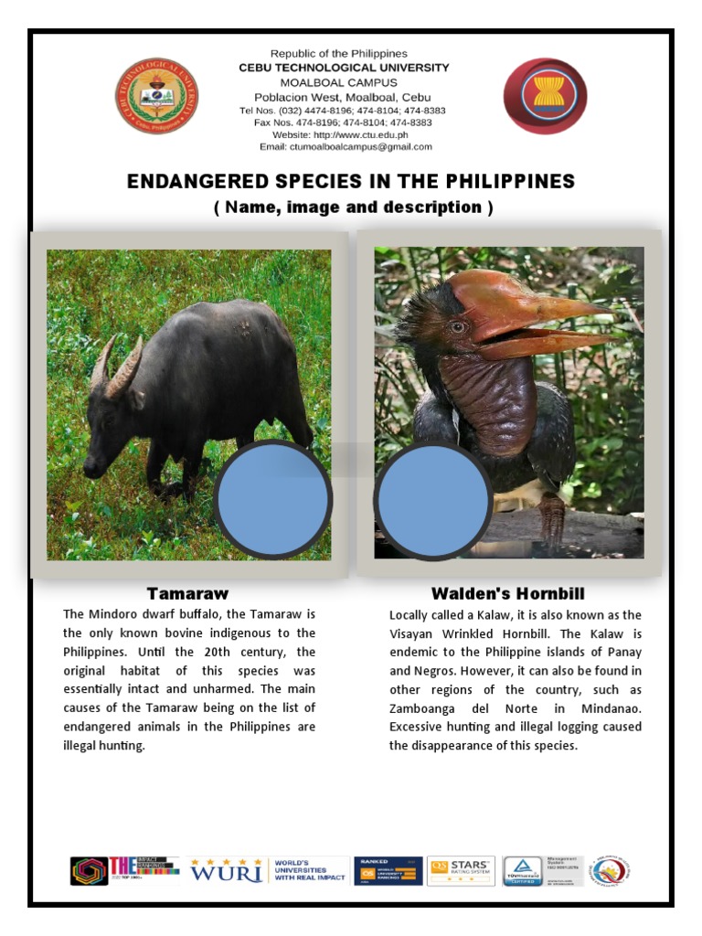 endangered species in the philippines research paper