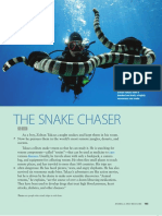 The Snake Chaser