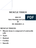 BASIC HISTOLOGY 7 Muscle Tissues