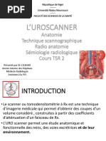 TOGD : Indications et Techniques | PDF | Œsophage | Estomac