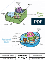 Plant Cell