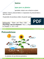 1 Aula T 2023 - Importancia Água para Plantas - Suas Propriedades