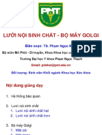 Lƣới Nội Sinh Chất - Bộ Máy Golgi