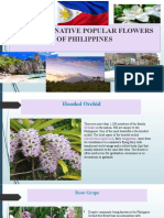 National Native Popular Flowers of Philippines