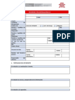 Informe Psicopedagógico