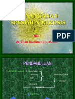 Penanganan Spesimen Mikosis