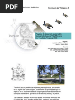 Download Proyecto Desarrollo Sustentable Santuario Tortuguero Vida Milenaria by Sandritaa SN6402019 doc pdf