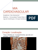 Anatomia Cardiovascular