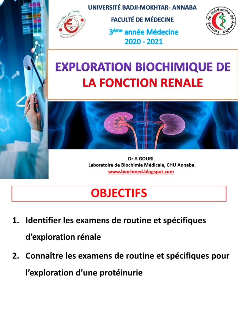 Exploration biochimique rénale | PDF | Créatinine | Rein
