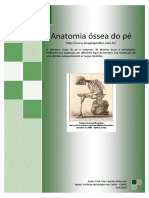 Anatomia Óssea Do Pé