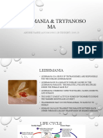 Trypanosomaandleishmania 1