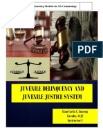 Juvenile Deliquency and Juvenile Justice System
