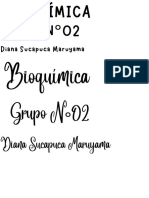 Grupo N °02: Diana Sucapuca Maruyama