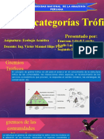 Presentado Por:: Asignatura: Ecología Acuática Docente: Ing. Víctor Manuel Iñipe Pezo