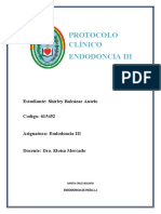 Protocolo Final Endo 3