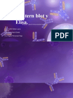 Western Blot y Elisa.: "Enzime-Laked Immunosorbet Assay"