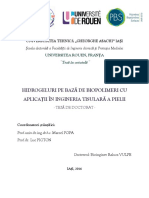 TD - VulpeR2016.pdf Hidrogel