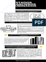 Estados Financieros Combinados - Diego Rubiano