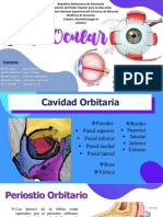 Globo Ocular: - Docente