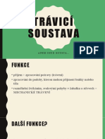 Trávicí Soustava