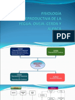 Comportamiento reproductivo de yeguas, cerdas, ovejas y alpacas