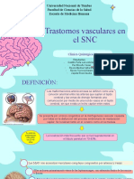 Trastornos Vasculares en El SNC G2 Qxiv-2