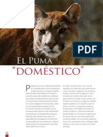 El Puma: "Doméstico"