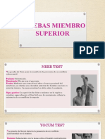 Pruebas Miembro Superior