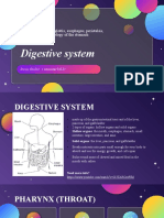 Digestive system anatomy and functions