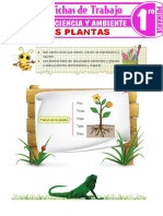 Las Plantas I