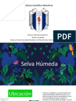 Selva Húmeda Geografía 08 12 2020