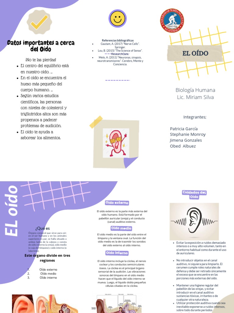 El Oido | PDF
