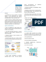 Antibioticoterapia: Agentes Antimicrobianos