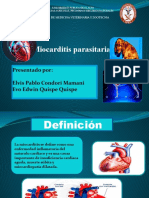 Miocarditis Parasitaria: Presentado Por: Elvis Pablo Condori Mamani Evo Edwin Quispe Quispe