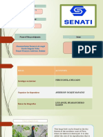 Avance Del Proyecto Final-Ingles