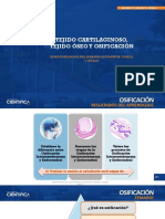 HISTOLOGÍA Osificación Intramembranosa y Osificación Endocondral