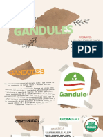 Gandules S.A.C.