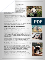 Giant Pandas Simple Present-Ppast 2