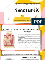Dentogenesis