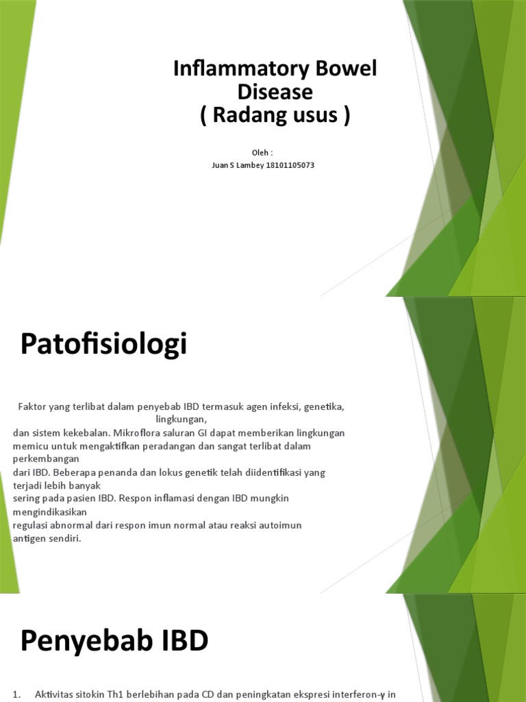 Panduan Lengkap IBD | PDF | Pengembangan Diri | Kesehatan Holistik